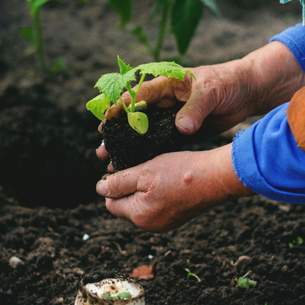 Návrh bez názvu (65)